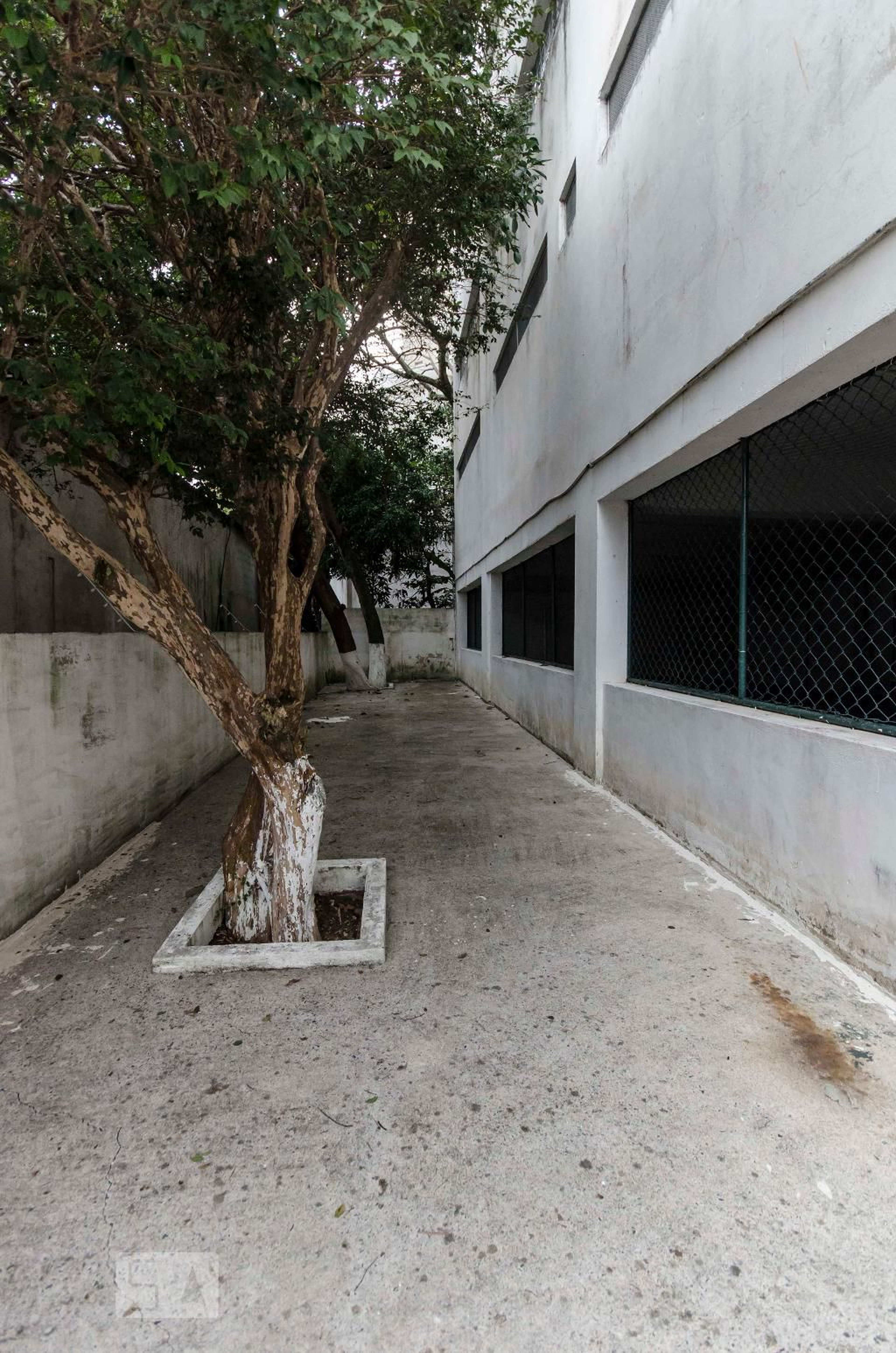 Espaço pet - Luiza Tolle