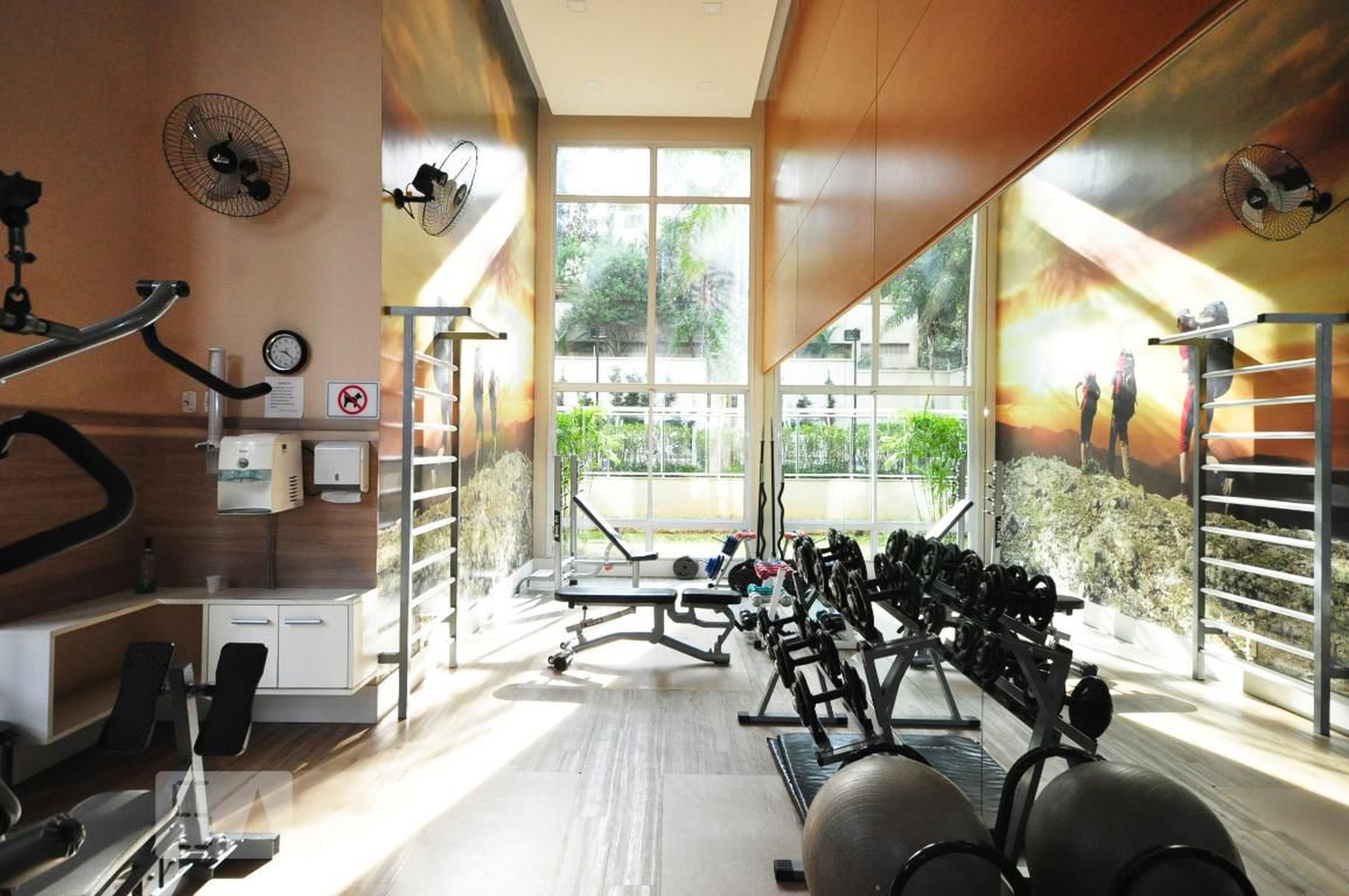 Academia - Wide Garden