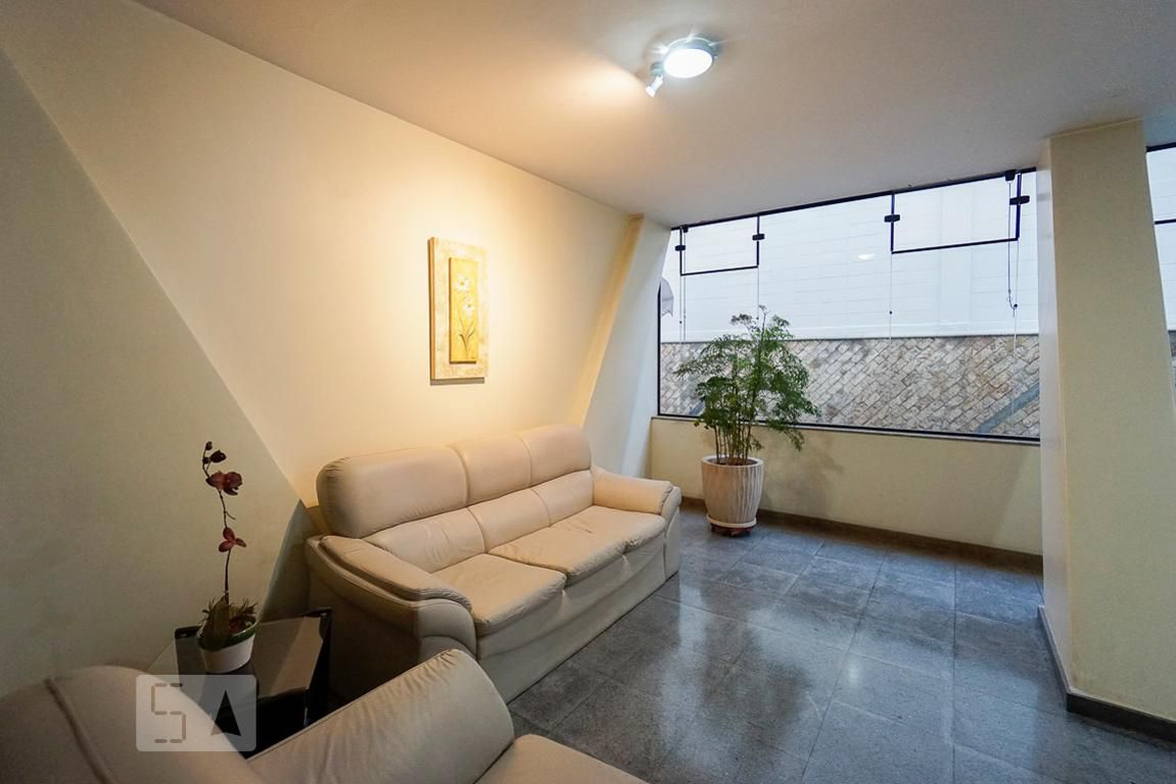 Hall social - Violeta