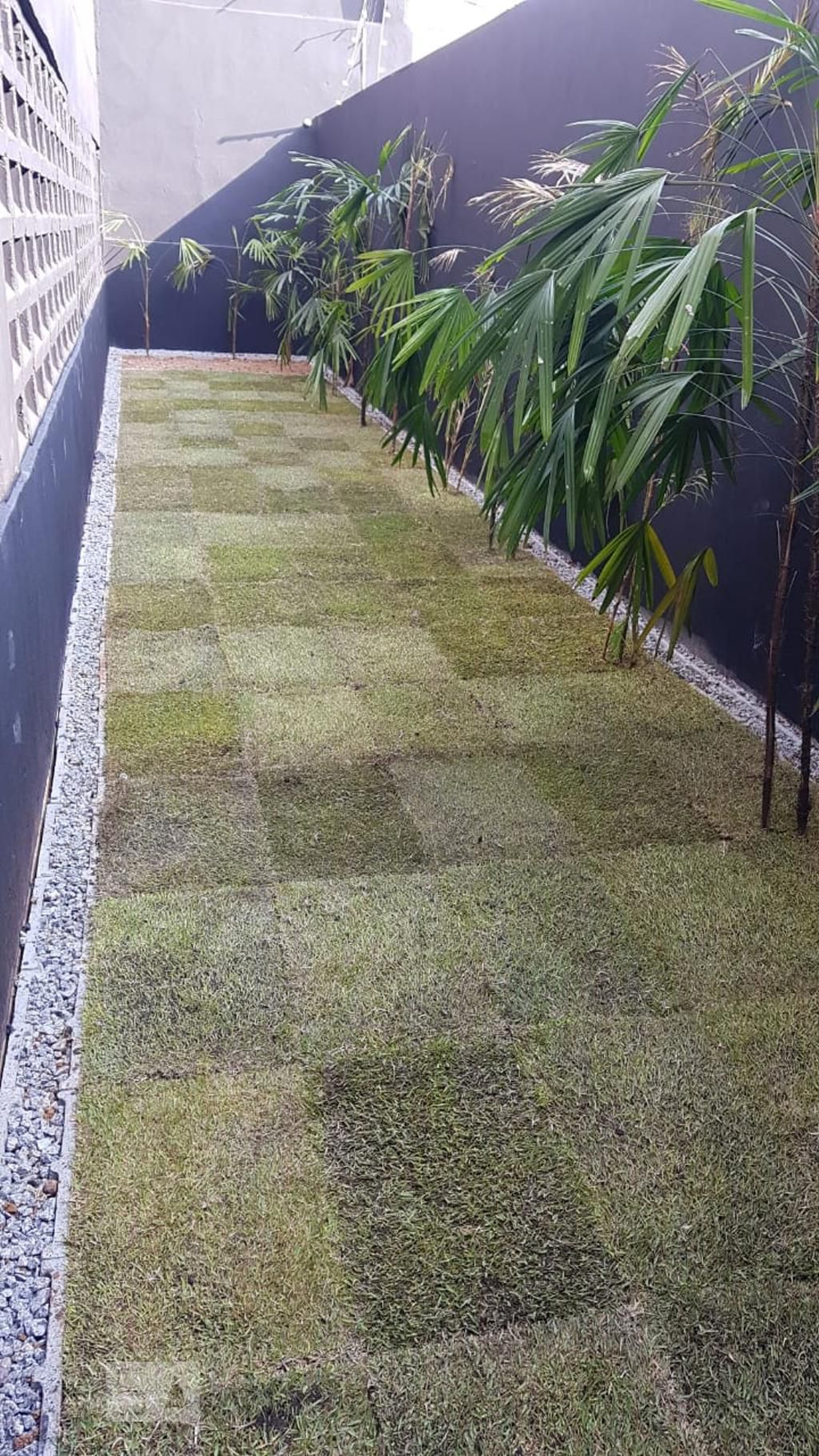 Espaço Pet - Mirante Norte