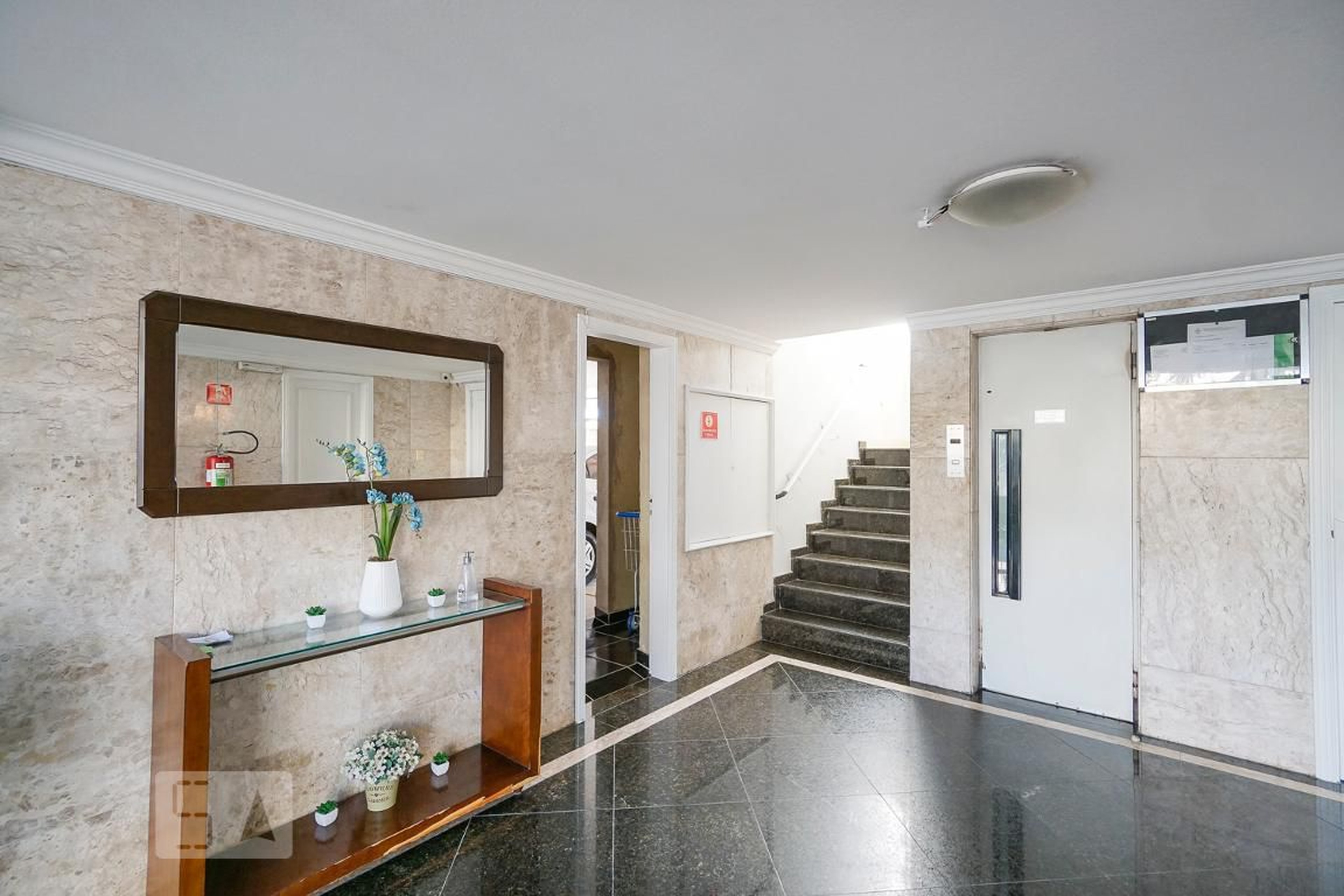 Hall social - Alexander