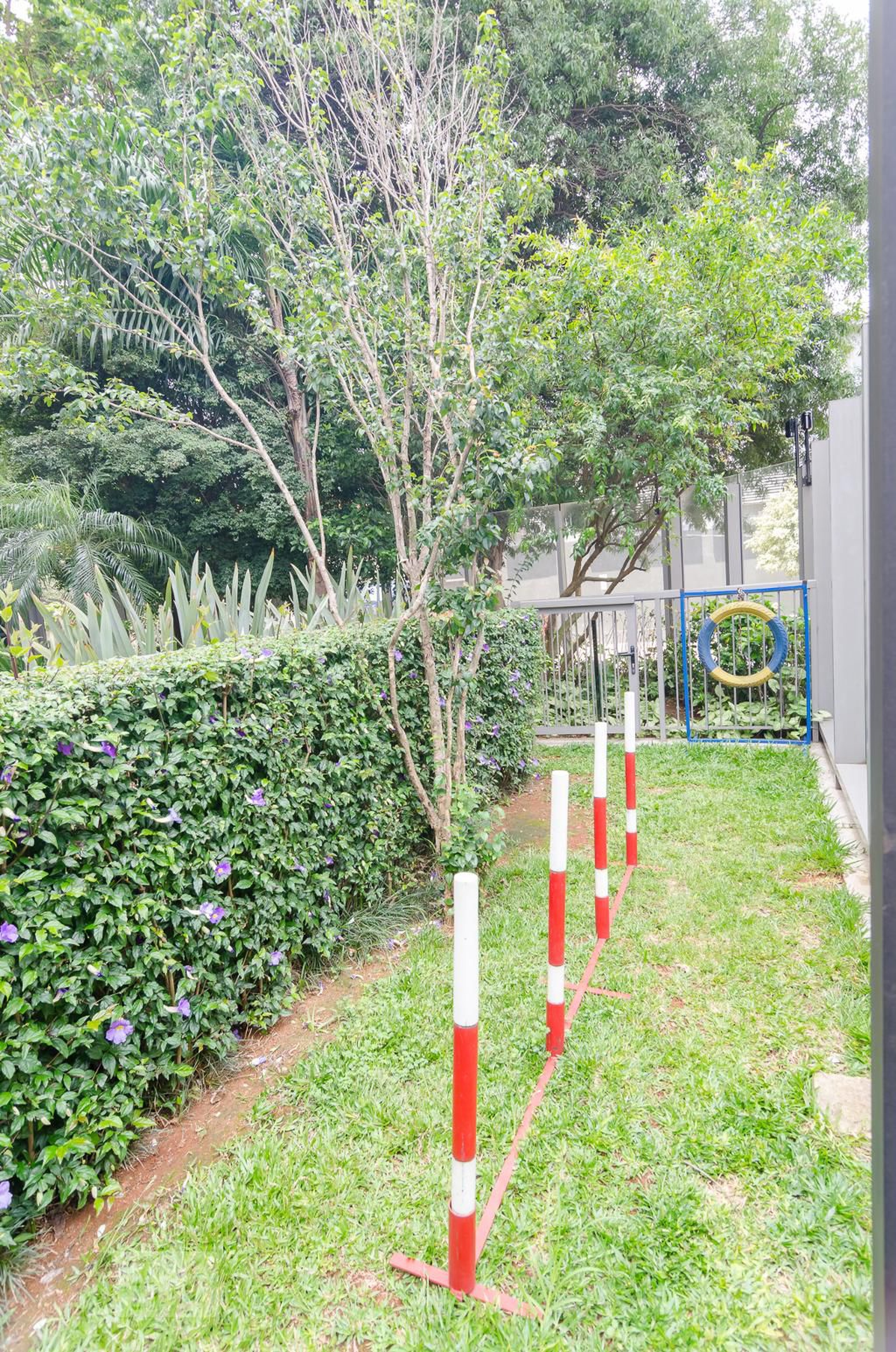 Espaço PET - Bonna Vila Mariana