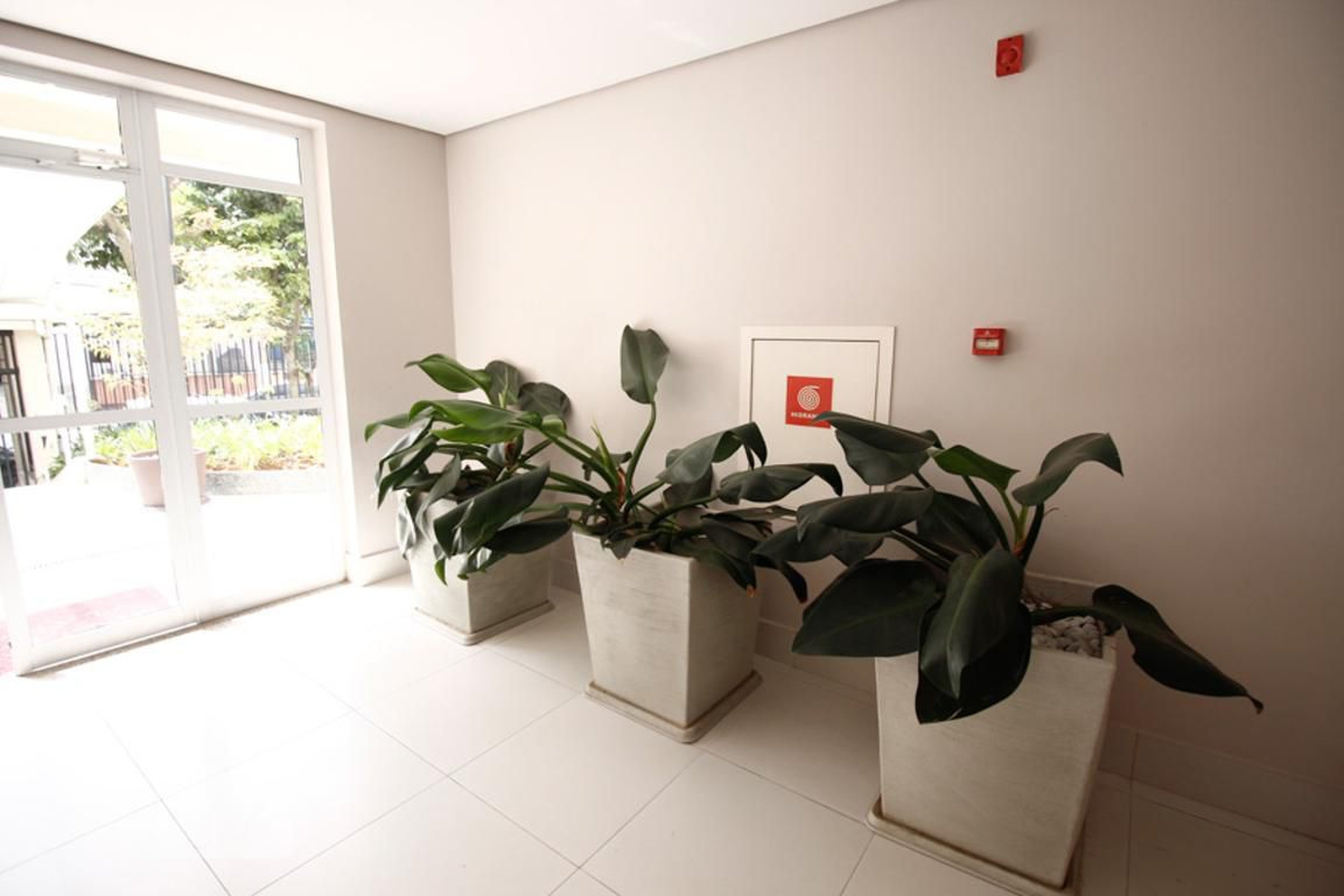 Hall - INTENSE VILA MASCOTE