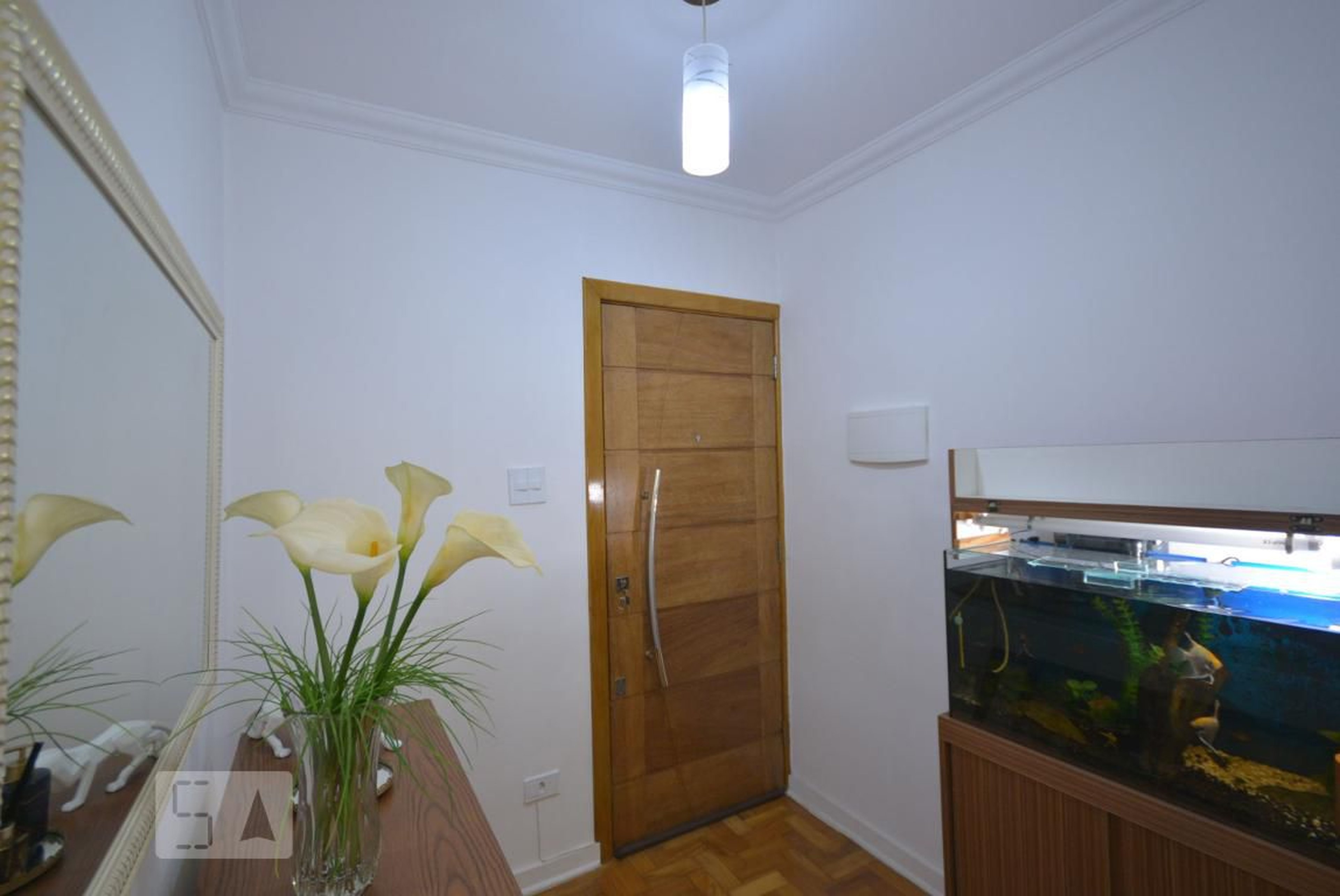 Hall - Lins