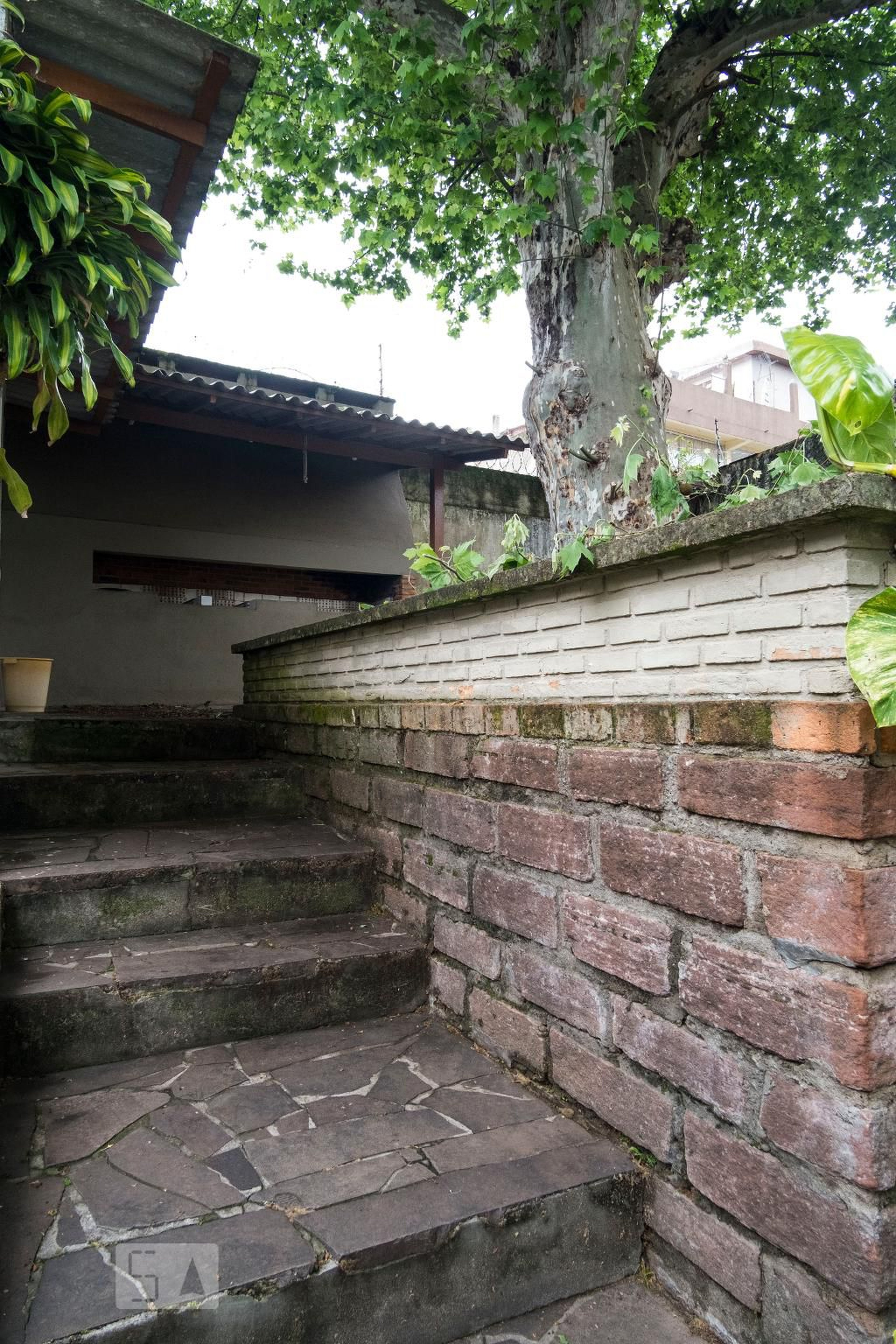 Área comum - Sinuelo