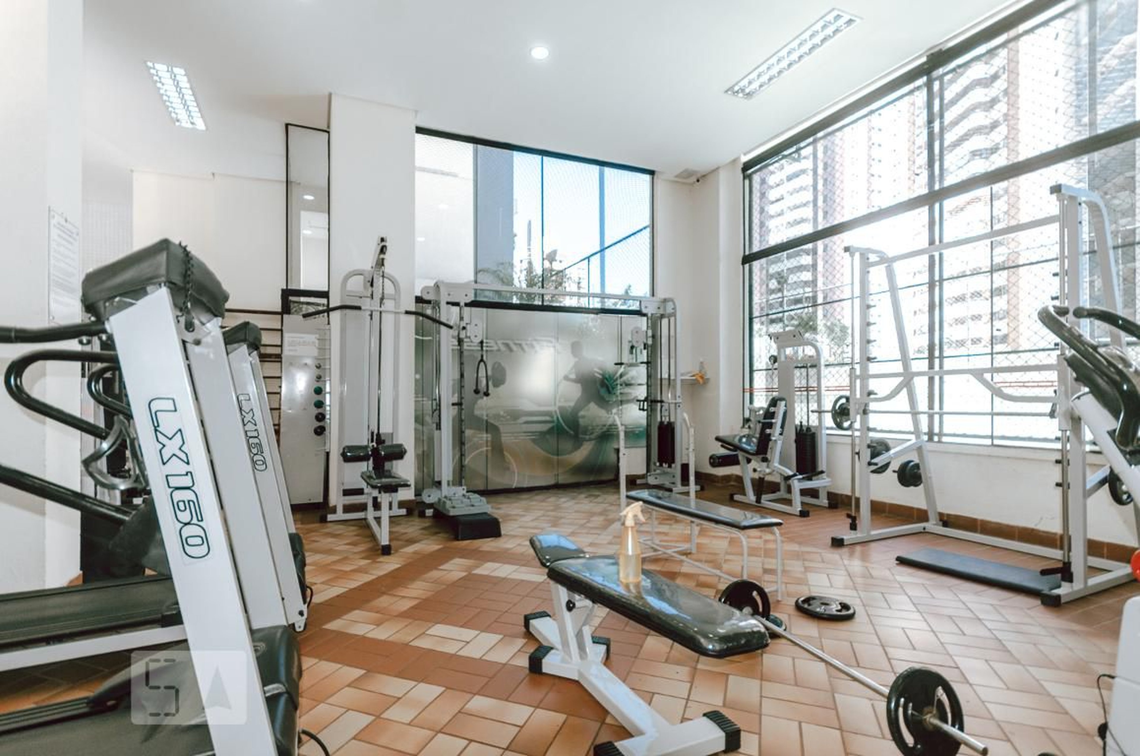 Academia - Porto Real