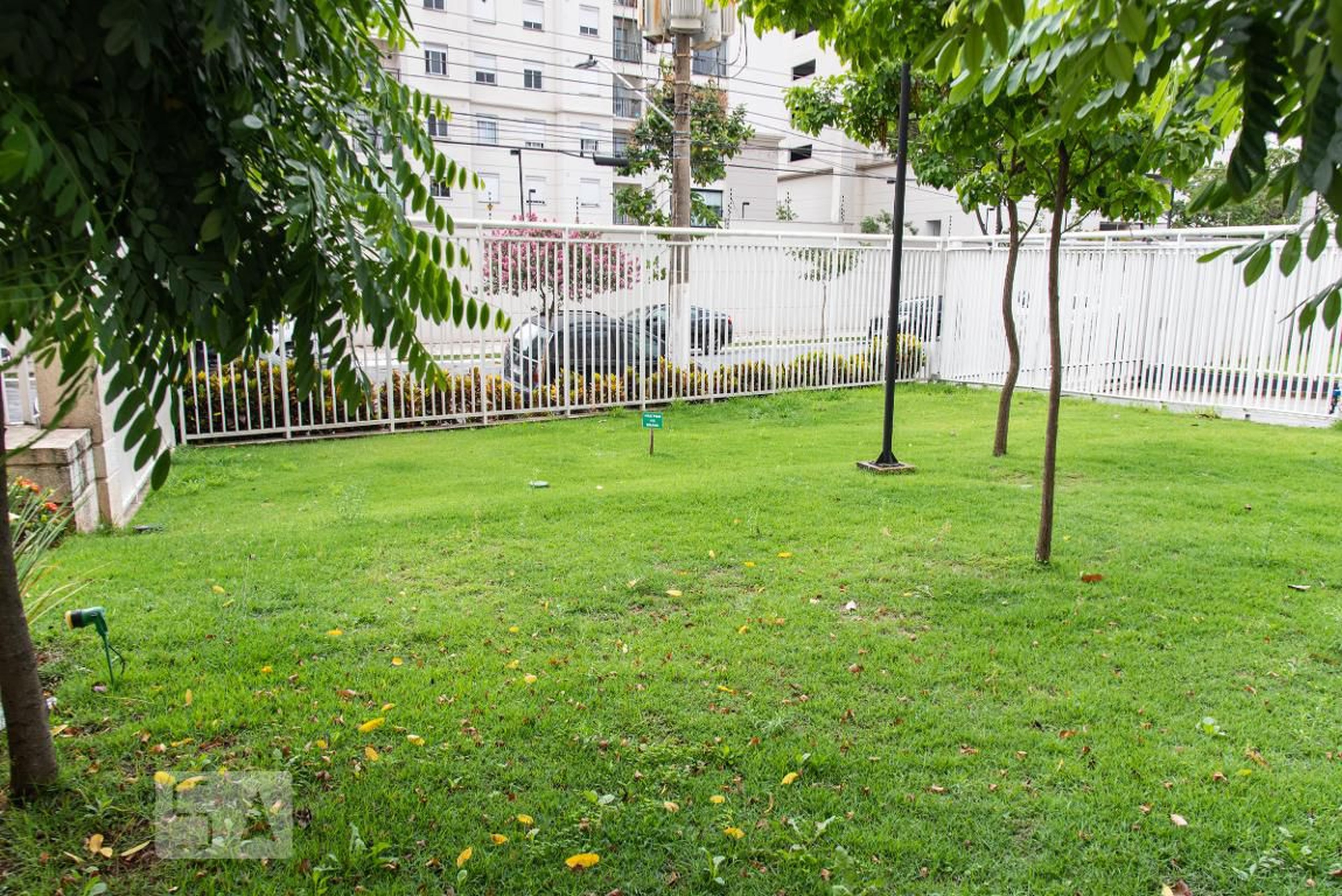 Espaço pet - Yellow