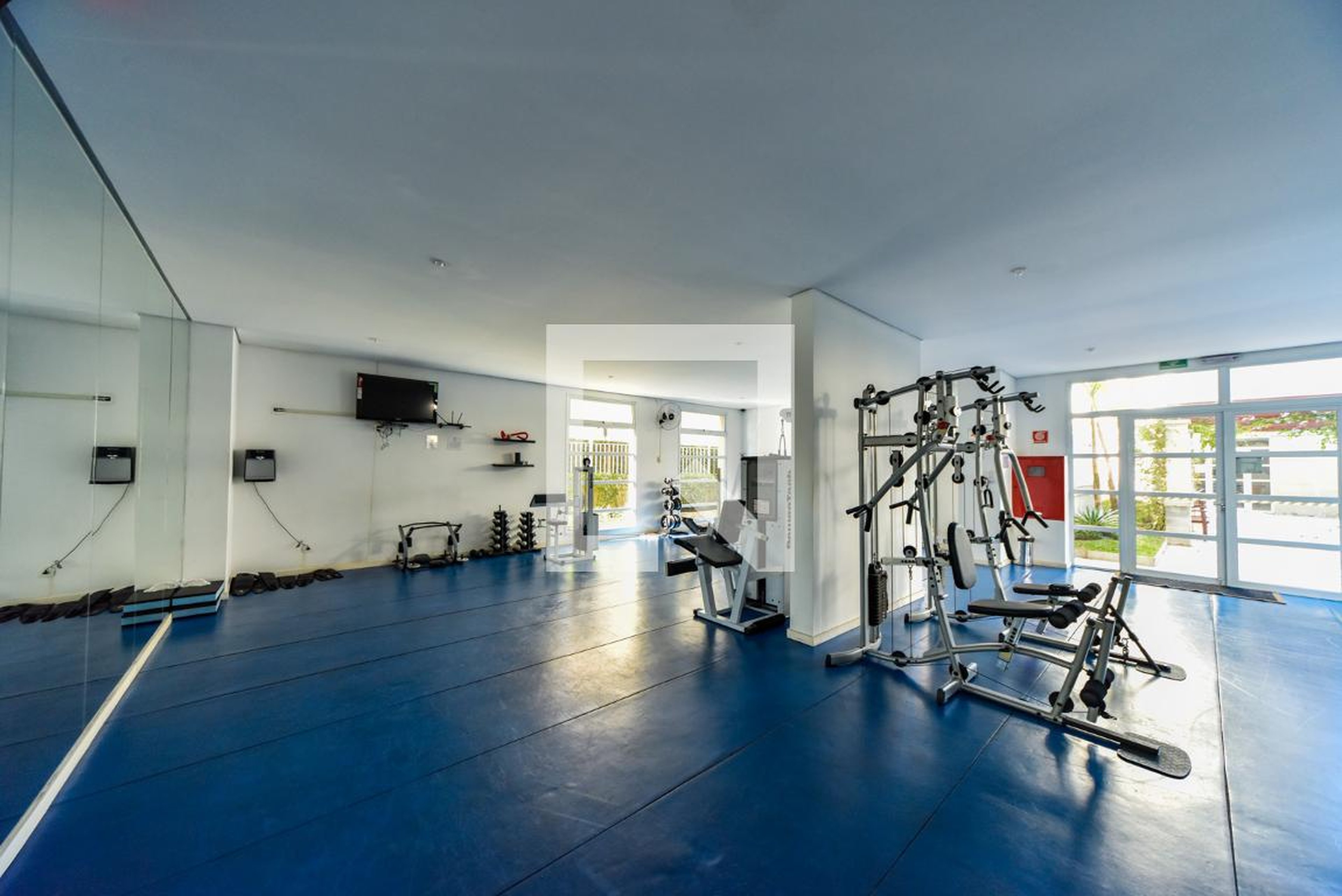 Academia - The Elements