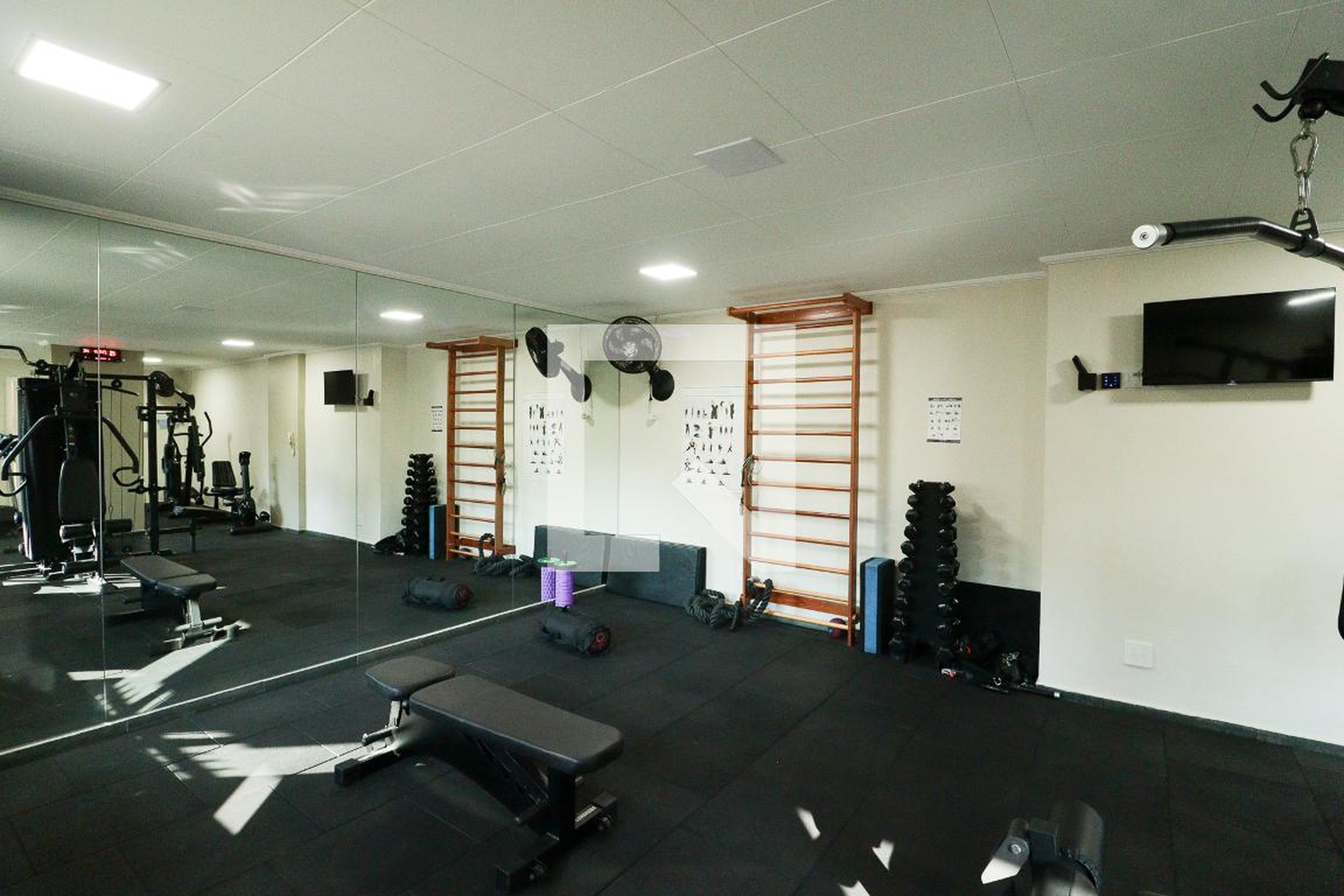 Academia - Elizabeth