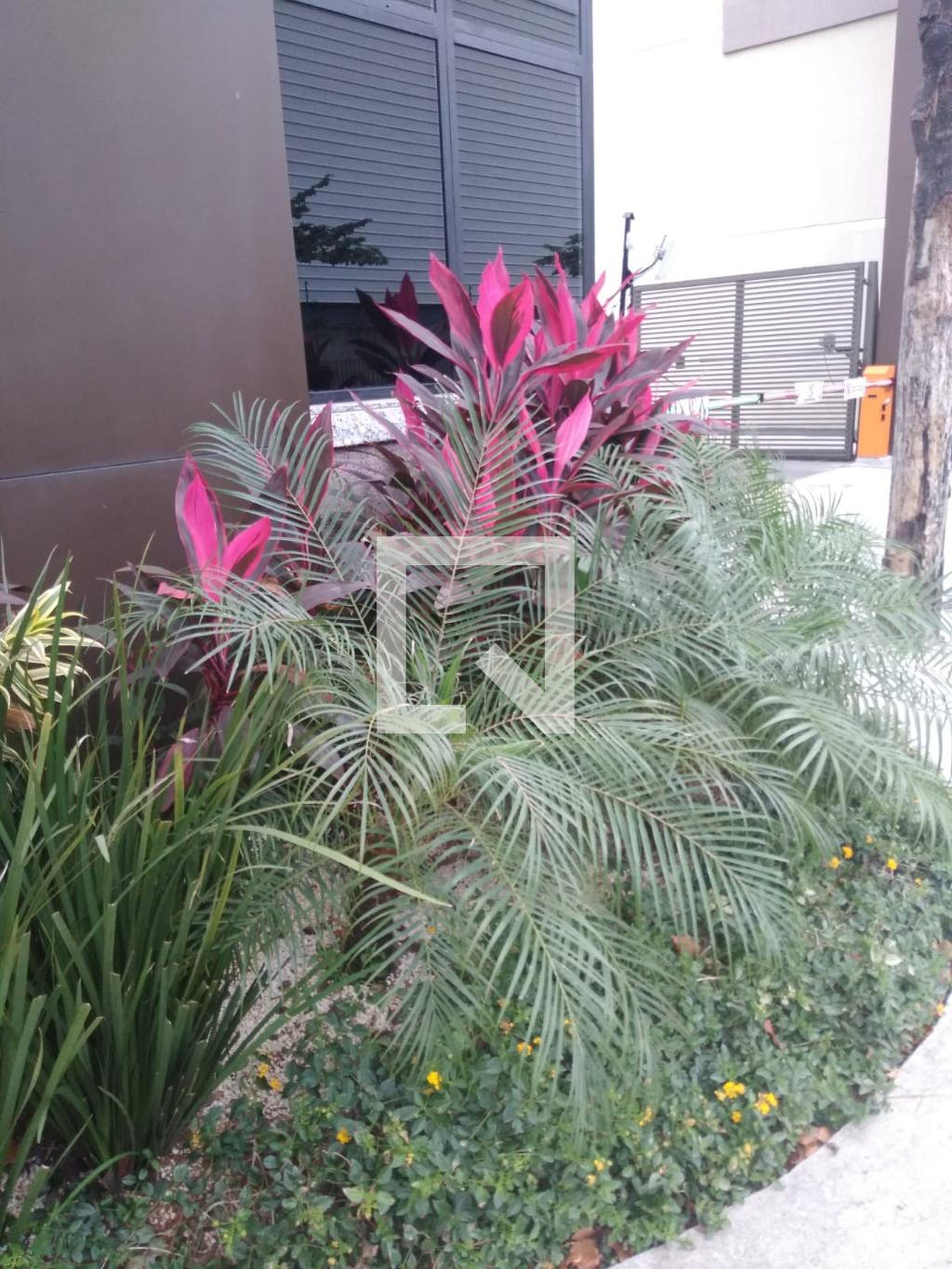 Área externa - Rio Jazz