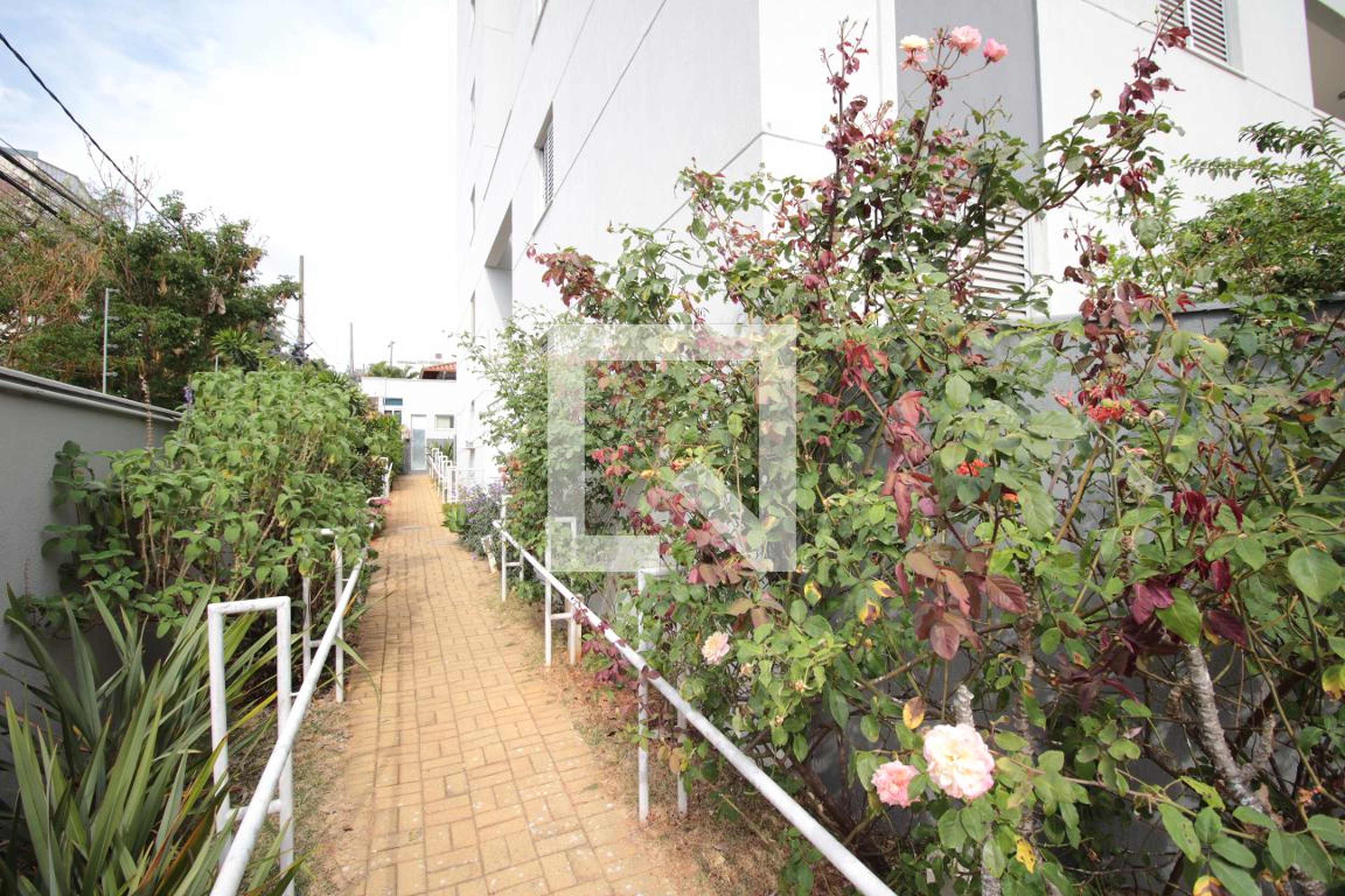 Area Comum - Rossi Sonetto