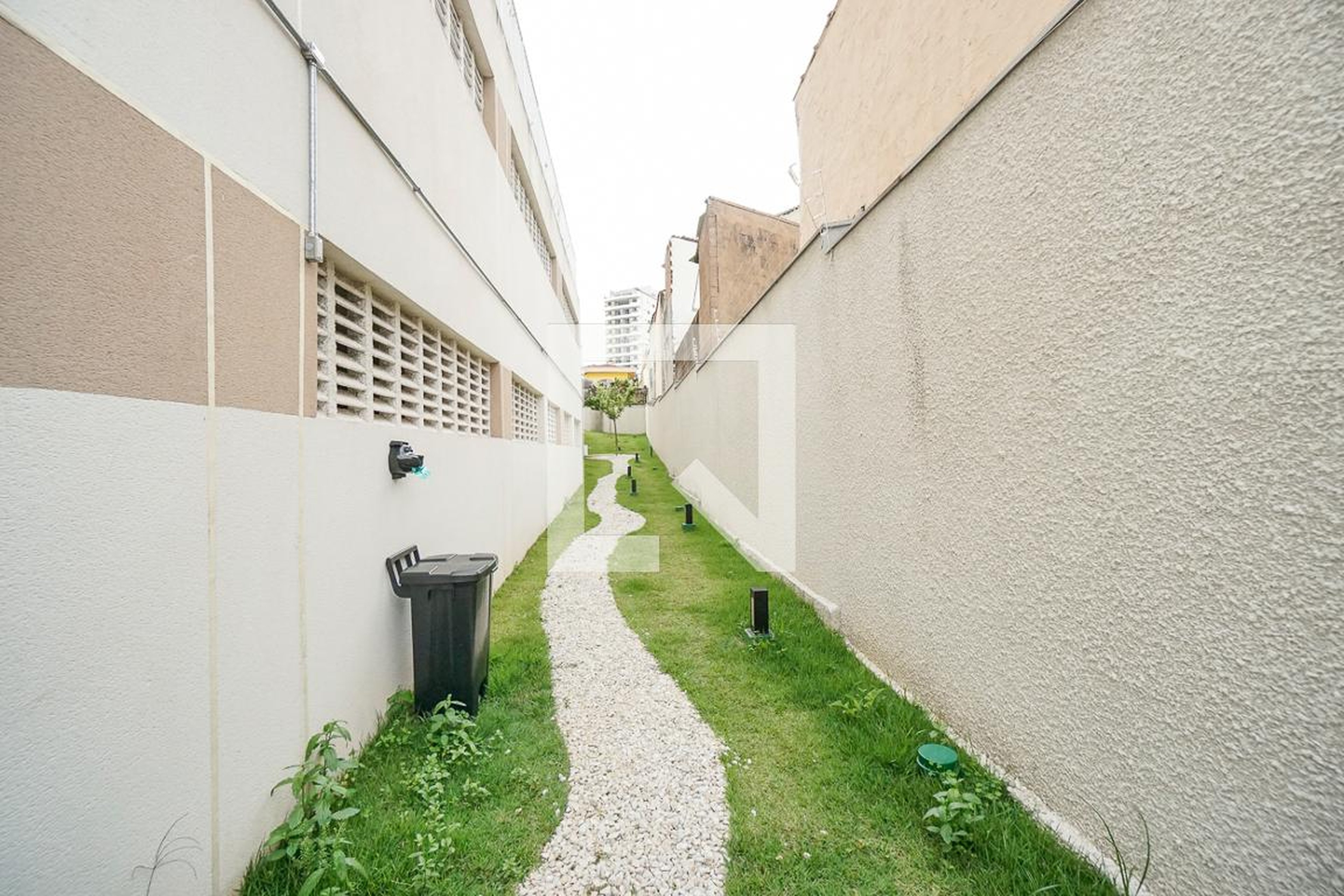 Espaço pet - Inova Penha