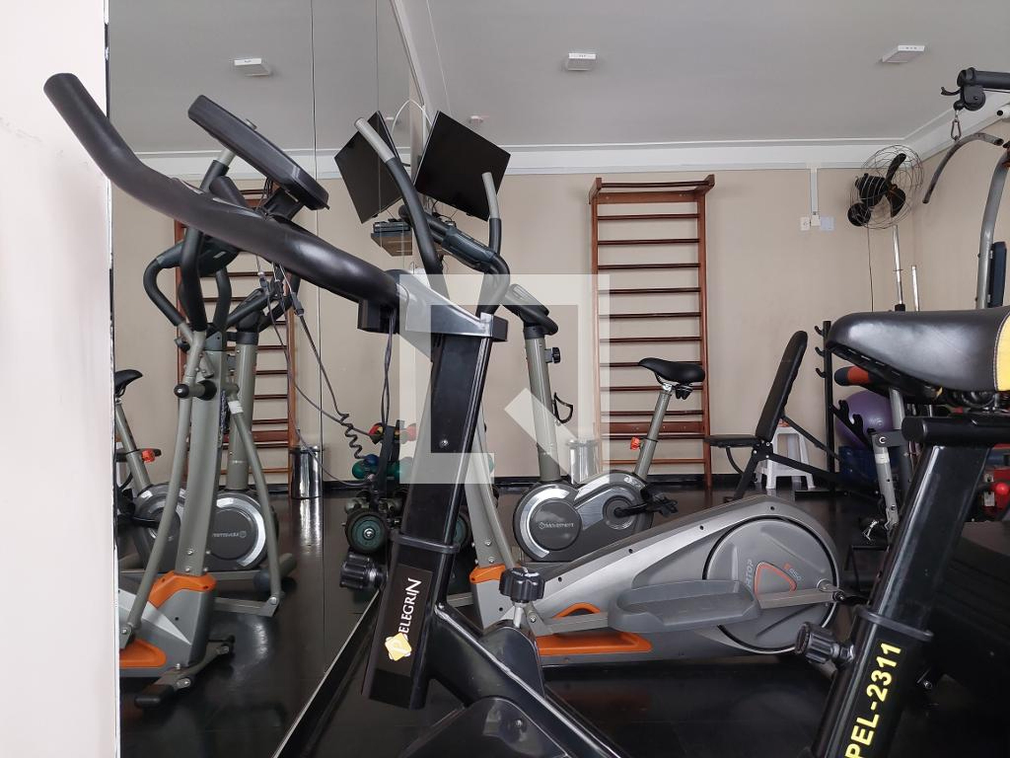 Academia - Eco Vita sábara