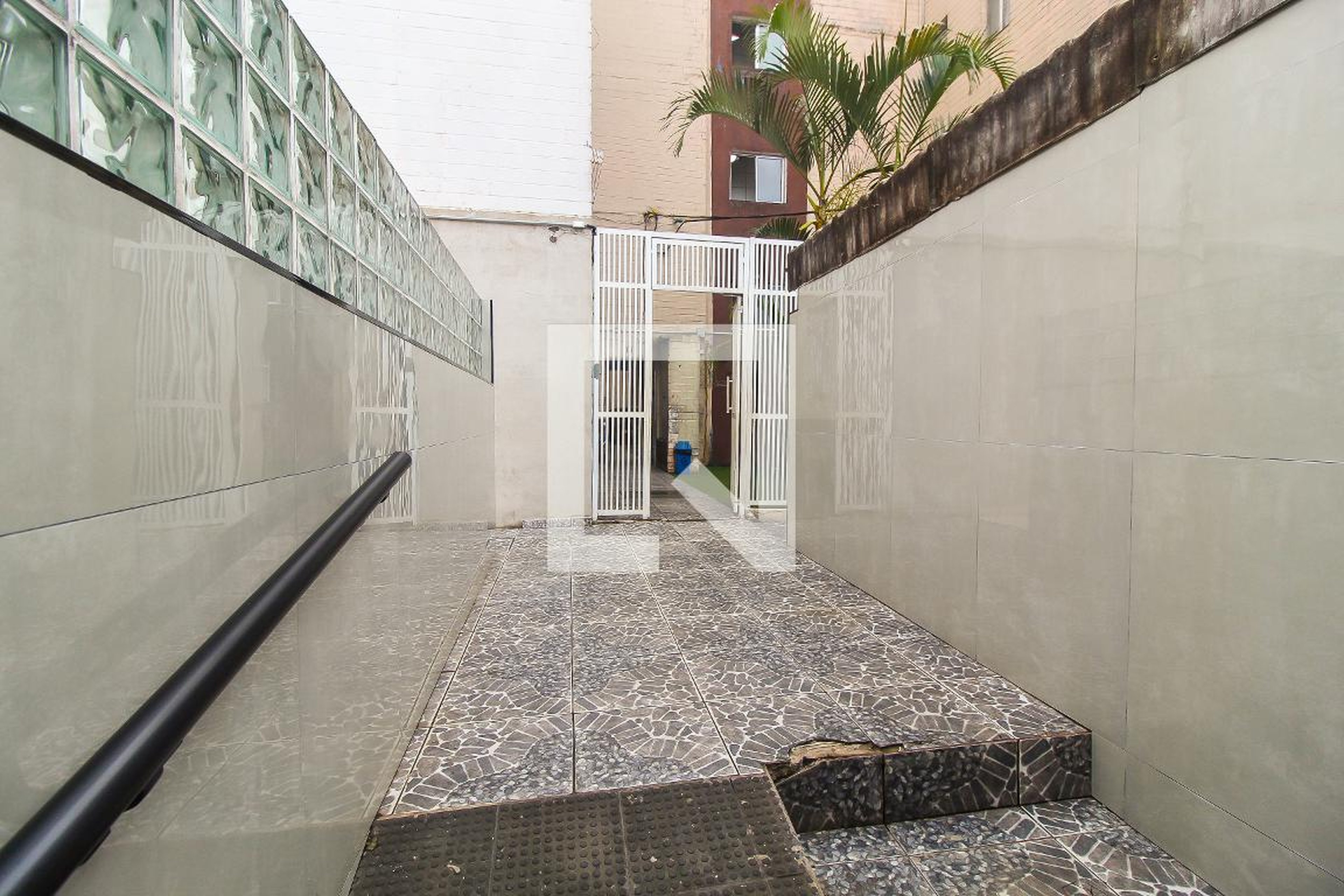 Entrada - Perobas IV