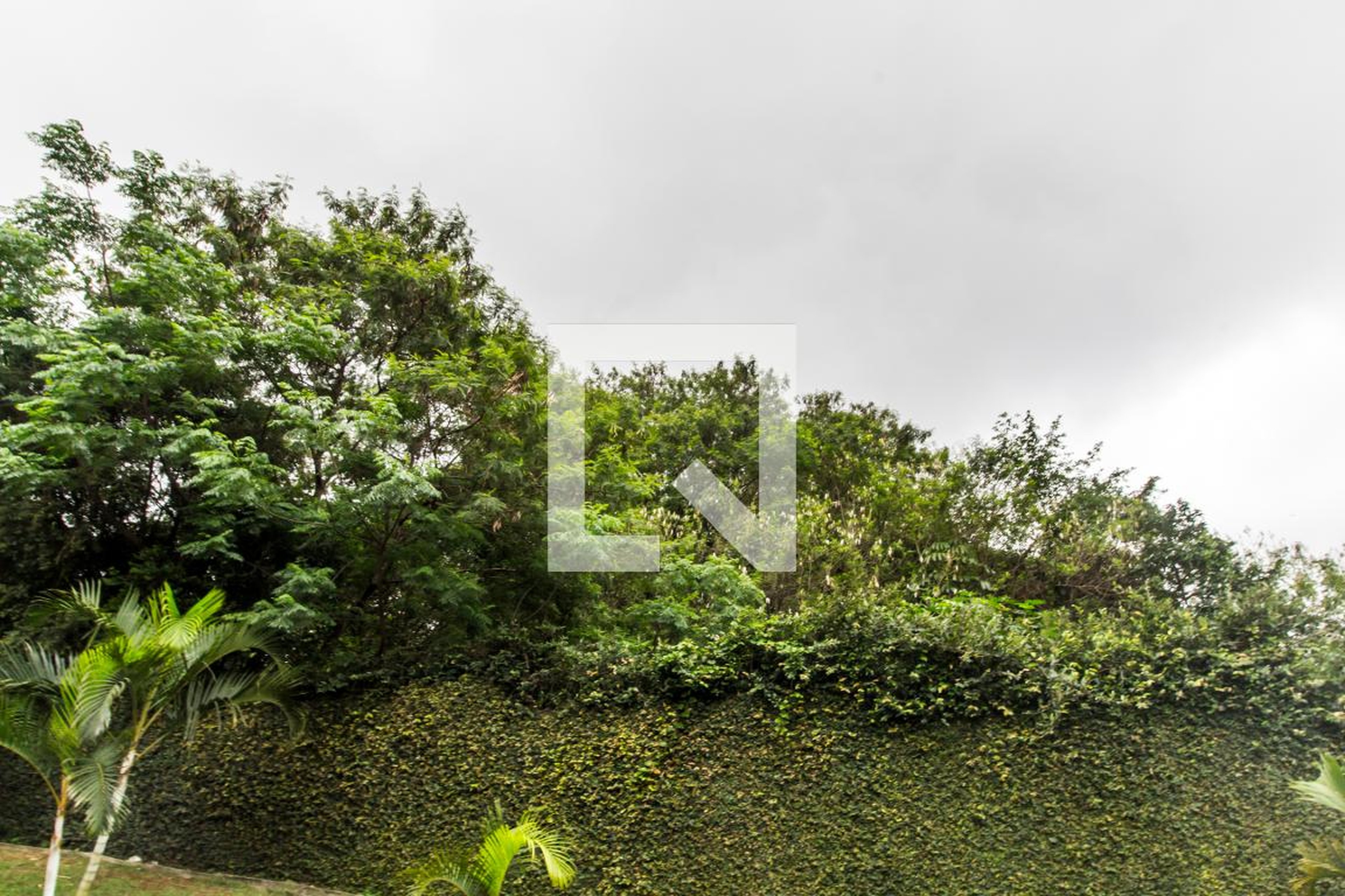 Espaço Pet - Residencial Europa