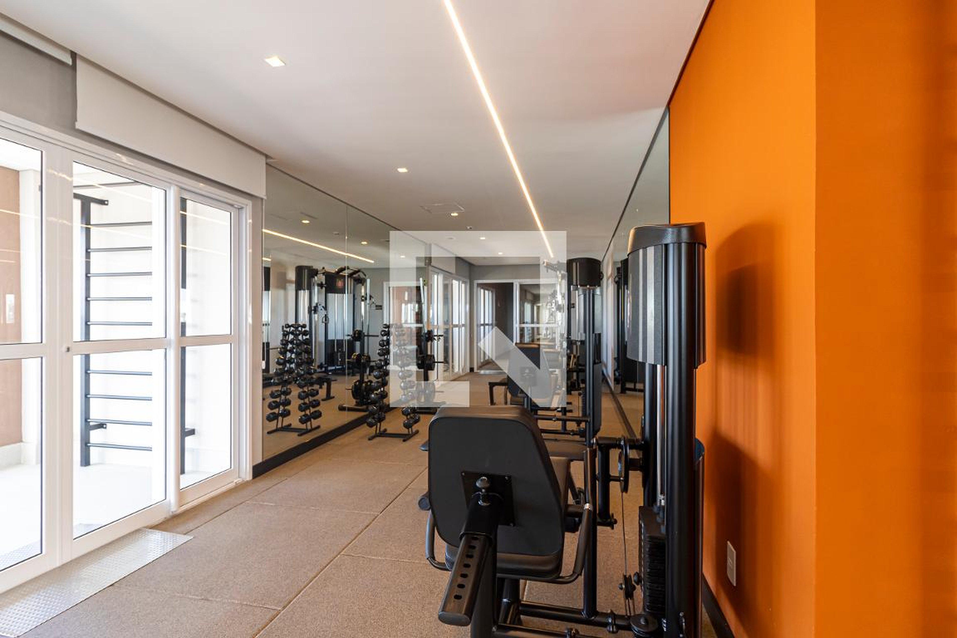 Academia - Alta Romana By Rem