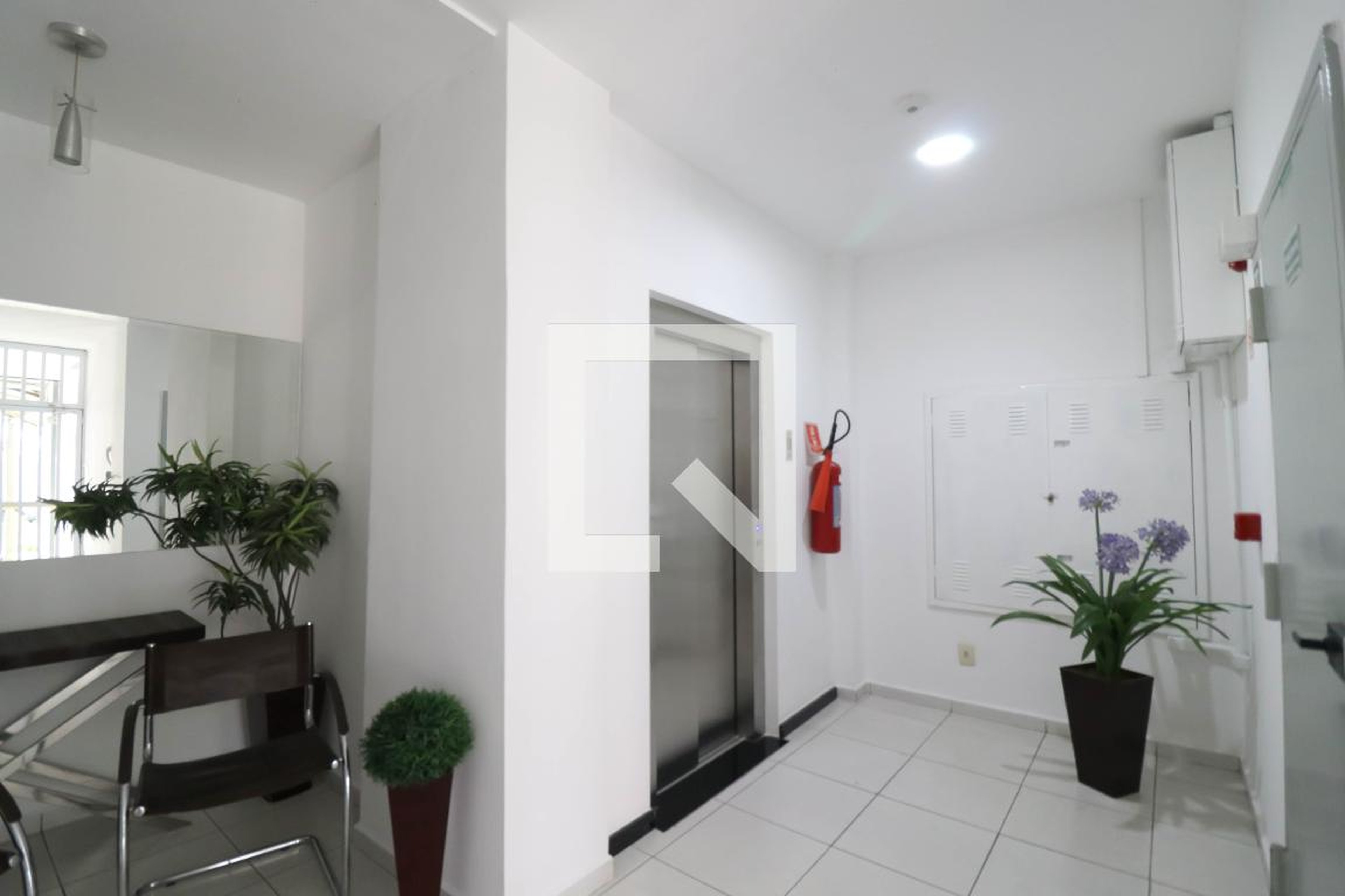 Hall social - Monte Carlo