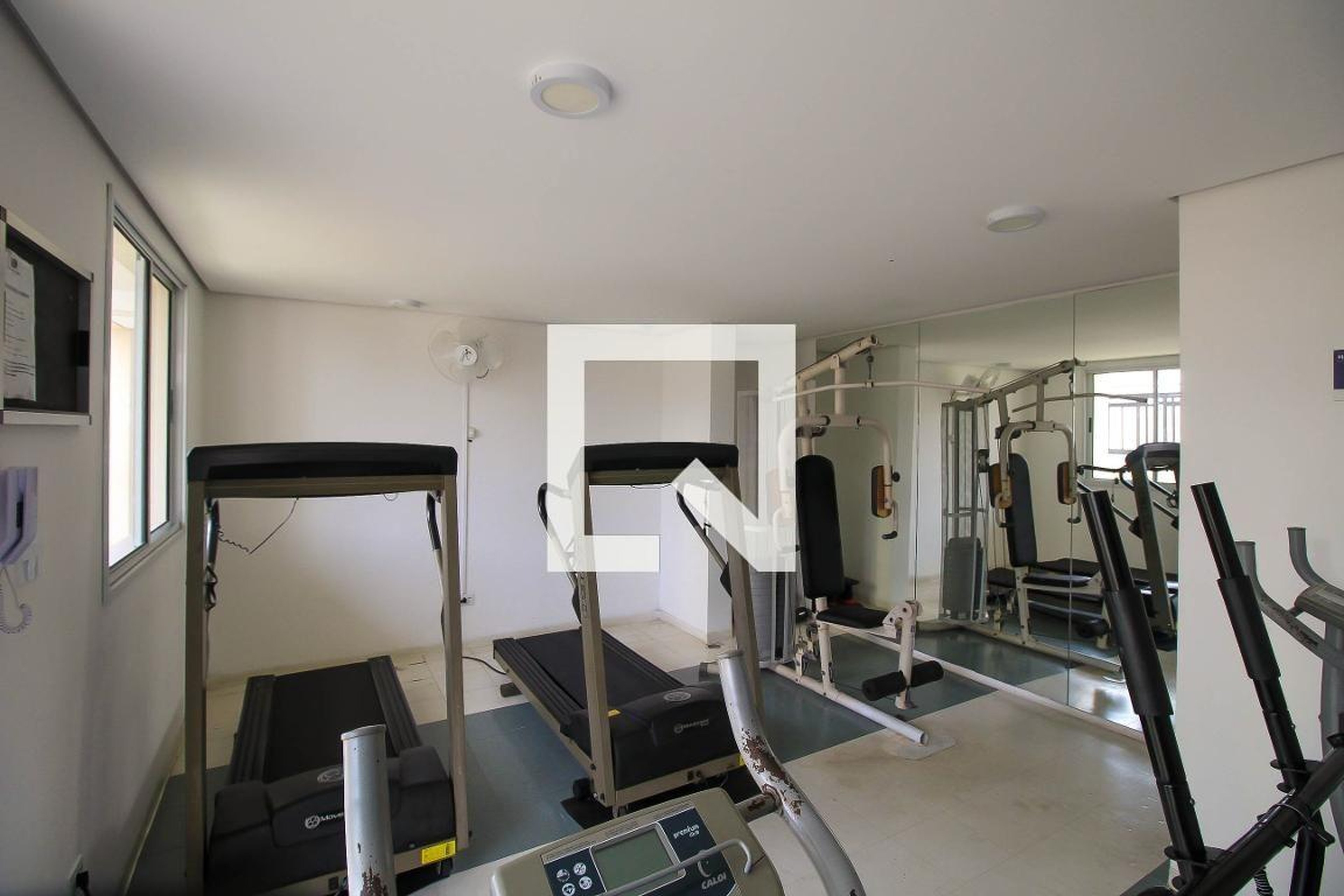 Academia - Perspective New Life