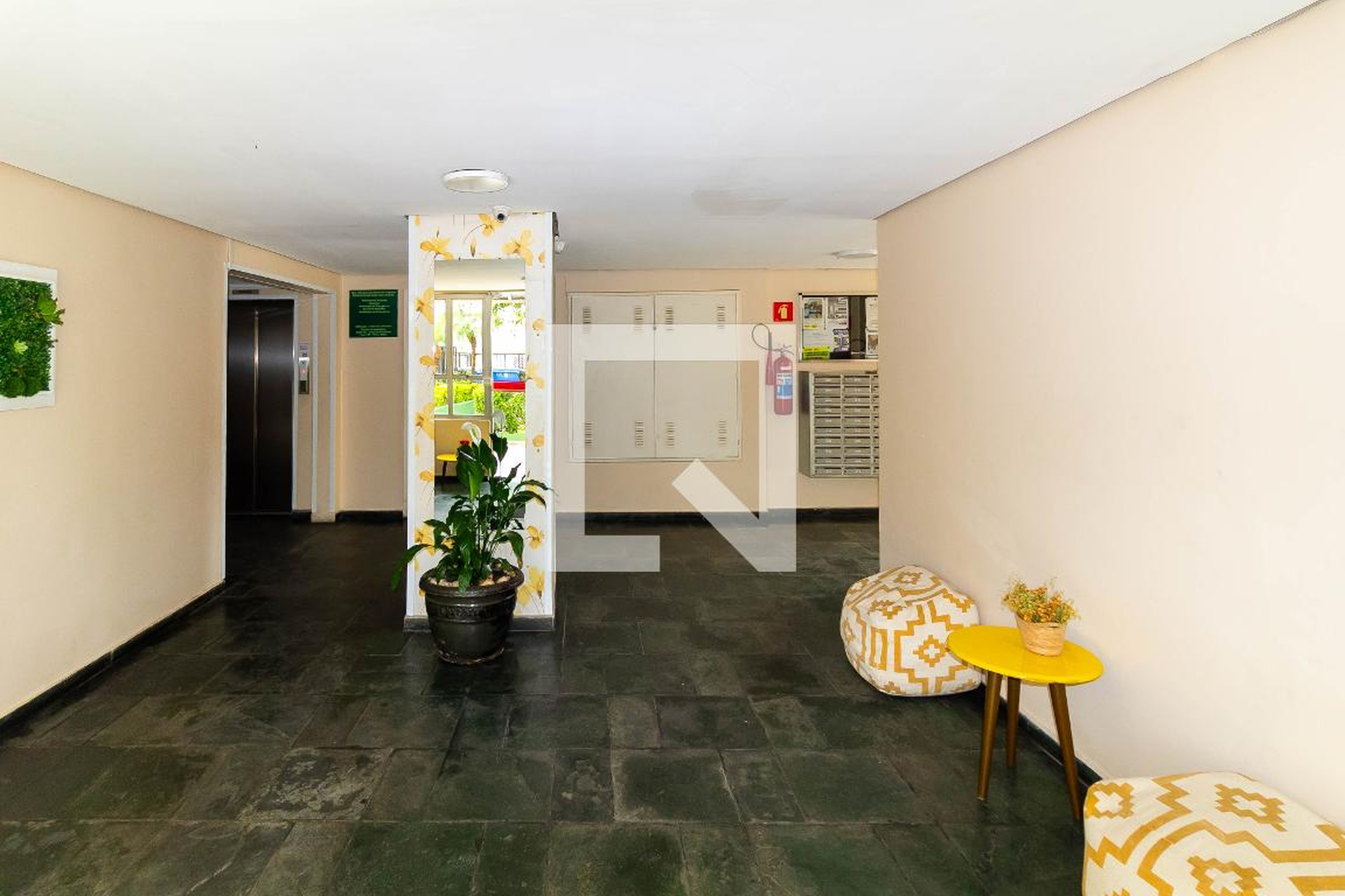 Hall - Rio das Pedras