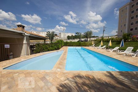 Dependências do prédio - piscina de apartamento para alugar com 3 quartos, 60m² em Jardim Nova Europa, Campinas