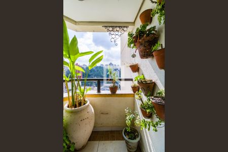 Apartamento à venda com 132m², 3 quartos e 3 vagas Apartamento à venda com 132m², 3 quartos e 3 vagasVaranda da Suíte