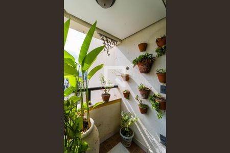 Apartamento à venda com 132m², 3 quartos e 3 vagas Apartamento à venda com 132m², 3 quartos e 3 vagasVaranda da Suíte