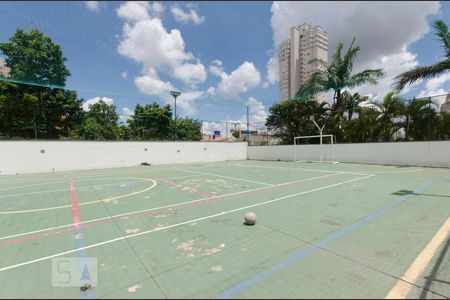 Apartamento para alugar com 78m², 3 quartos e sem vagaQuadra