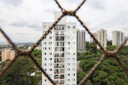 Vista da Varanda da Sala de apartamento para alugar com 3 quartos, 72m² em Vila Suzana, São Paulo