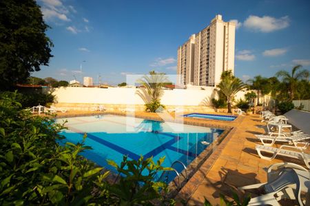 Apartamento para alugar com 64m², 2 quartos e 1 vaga Apartamento para alugar com 64m², 2 quartos e 1 vagaÁrea comum - Piscina