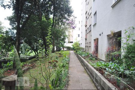 horta de apartamento para alugar com 2 quartos, 65m² em Vila Andrade, São Paulo