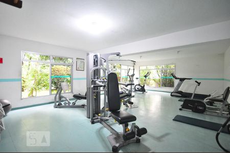 academia de apartamento para alugar com 2 quartos, 65m² em Vila Andrade, São Paulo