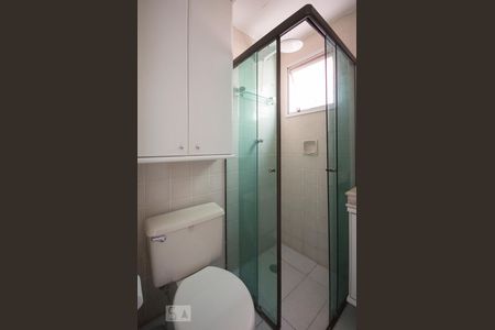 Banheiro de apartamento para alugar com 2 quartos, 55m² em Vila Guarani, São Paulo