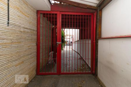 Casa à venda com 361m², 7 quartos e sem vaga Casa à venda com 361m², 7 quartos e sem vagaDetalhe do quintal