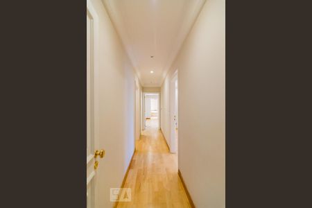 Apartamento à venda com 450m², 5 quartos e 4 vagas Apartamento à venda com 450m², 5 quartos e 4 vagasCorredor das Suites