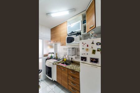 Cozinha de apartamento para alugar com 1 quarto, 45m² em Vila Gomes Cardim, São Paulo
