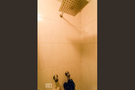 Banheiro de apartamento para alugar com 1 quarto, 45m² em Vila Gomes Cardim, São Paulo