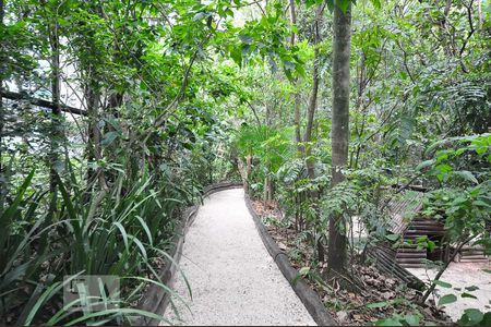 Apartamento para alugar com 340m², 4 quartos e 5 vagasParque privativo