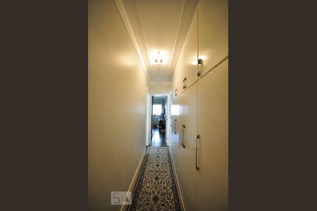 Apartamento para alugar com 340m², 4 quartos e 5 vagas Apartamento para alugar com 340m², 4 quartos e 5 vagasArmário do corredor