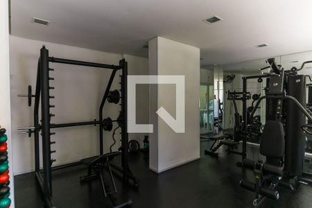 Apartamento para alugar com 68m², 2 quartos e 1 vaga Apartamento para alugar com 68m², 2 quartos e 1 vagaÁrea comum - Academia