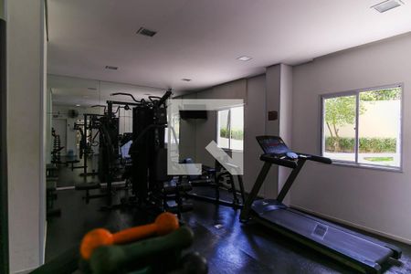 Apartamento para alugar com 68m², 2 quartos e 1 vaga Apartamento para alugar com 68m², 2 quartos e 1 vagaÁrea comum - Academia