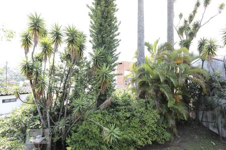 Casa para alugar com 330m², 4 quartos e 6 vagasVista