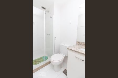 Banheiro social  de apartamento para alugar com 2 quartos, 78m² em Méier, Rio de Janeiro