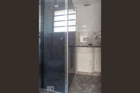 Banheiro  de apartamento para alugar com 2 quartos, 55m² em Vila Proost de Souza, Campinas