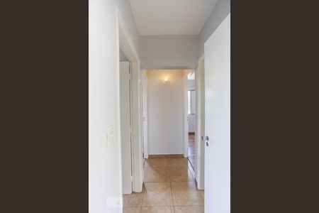 Corredor de apartamento para alugar com 3 quartos, 68m² em Caxingui, São Paulo