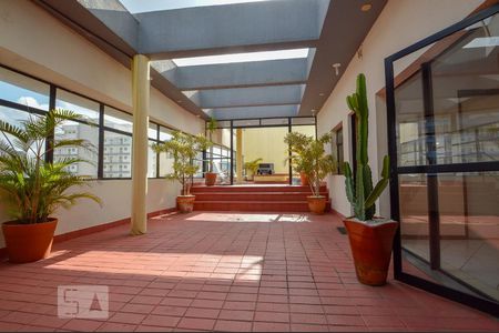 Acesso piscina de apartamento para alugar com 2 quartos, 50m² em Vila Buarque, São Paulo