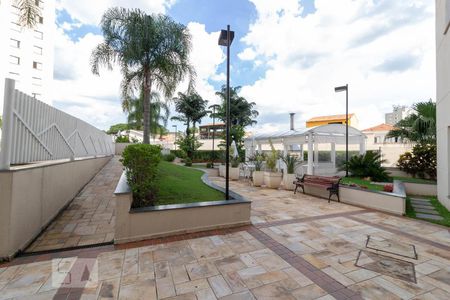 Apartamento para alugar com 75m², 3 quartos e 2 vagas Apartamento para alugar com 75m², 3 quartos e 2 vagasÁrea Comum