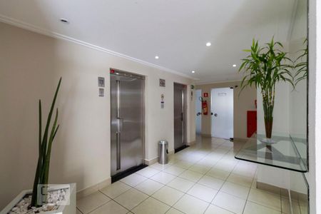 Hall social de apartamento para alugar com 2 quartos, 70m² em Vila Mascote, São Paulo