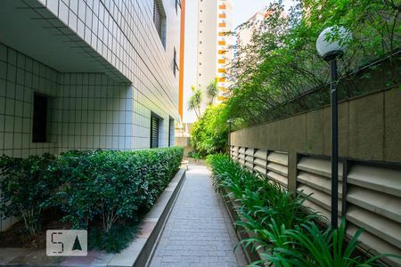 Área Externa de apartamento para alugar com 2 quartos, 70m² em Vila Mascote, São Paulo