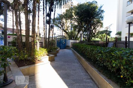 Área Externa de apartamento para alugar com 2 quartos, 70m² em Vila Mascote, São Paulo