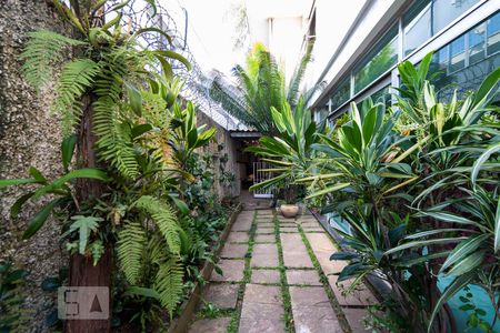 Casa para alugar com 420m², 4 quartos e 4 vagasÁrea externa